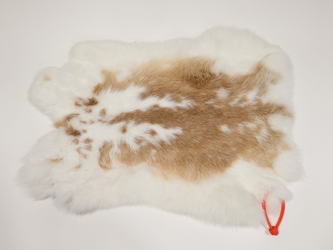 Czech #2/#3 Breeder Rabbit Skin: Fawn and White Spotted Spotted rabbit skins, Czech Fawn rabbit fur, Czech rabbit pelt, natural color, rabbit
