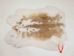 Czech #2/#3 Breeder Rabbit Skin: Fawn and White Spotted - 283-2-CZNSP4-AS (Y2HRK)