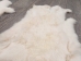 Czech #2/#3 Breeder Rabbit Skin: White - 283-2-CZW-AS (Y2HRL)