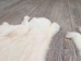 Czech #2/#3 Breeder Rabbit Skin: White - 283-2-CZW-AS (Y2HRL)