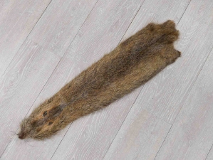 Nutria Skin: Light: Large: 23"-26" 