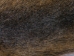 Nutria Skin: Light: Extra Large: 26"-30" - 31-04L-AS (Y2KRB)