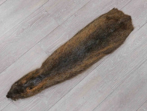 Nutria Skin: Light: Extra Large: 26"-30" 