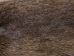 Nutria Skin: Craft: Assorted - 31-CR-AS (Y1KWR)