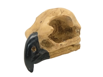 Realistic Hawk Skull 