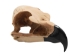 Realistic Eagle Skull - 356-20 (Y1XC15)