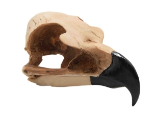 Realistic Eagle Skull 