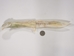 Alligator Jaw Bone Knife: Extra Large - 381-60XL-AS (Y1M)