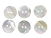 Akoya Mother of Pearl Button: 32L (20.5mm or 0.807&quot;) - 384-32L (Y2L)