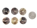 Akoya Mother of Pearl Button: 36L (22.9mm or 0.902") - 384-36L (Y2LC03)