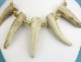 5-Antler Tip Necklace - 404-1155 (Y2KC02)