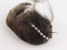 Nutria Foot Keychain - 42-41-AS (Y1XC08)