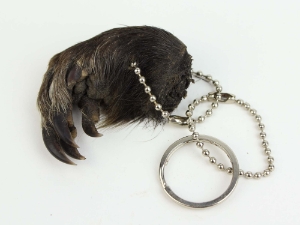 Nutria Foot Keychain nutria feet keychains