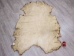 Elk Hide: #1: Assorted - 43-1-AS (Y2IXX)