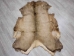 Elk Hide: #1: Assorted - 43-1-AS (Y2IXX)