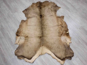 Elk Hide: #1: Assorted elk skins