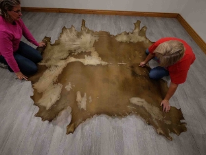 Cow Rawhide: Full Hide: Thick: Natural 