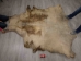Cow Rawhide: Full Hide: Thick: Bleached - 55-20-FULL11-AS (8UK14)