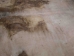 Cow Rawhide: Full Hide: Thick: Bleached - 55-20-FULL11-AS (8UK14)