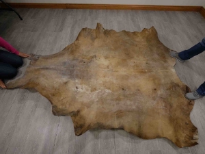 Cow Rawhide: Full Hide: Thick: Bleached 