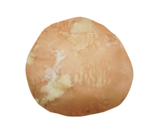 Horse Rawhide Drum Cover: 33"-36" horse rawhide discs, horse rawhide rounds, horse drum covers