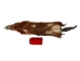 Groundhog Skin: Craft Grade - 557-CR (Y2ORJ)