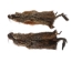 Groundhog Skin: Trading Post Grade: Small - 557-TPS (Y2ORJ)
