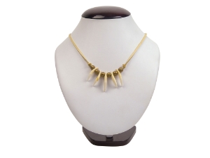 Real 5-Fox Tooth Necklace 