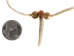 Real 1-Claw North American Badger Necklace - 560-701 (Y2KC11)