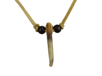 Real 1-Claw North American Badger Necklace 