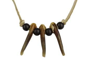 Real 3-Claw North American Badger Necklace 