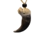Real Black Bear 1-Claw Necklace: Jumbo Claw - 560-JBC01 (Y2KC11)