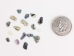 Paua Shell Chips: Unsorted (1/4 lb) - 565Z-CHPU-AS