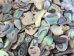 Paua Shell Chips: Unsorted (1/4 lb) - 565Z-CHPU-AS