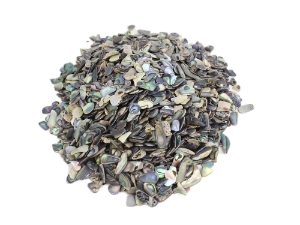 Paua Shell Chips: Unsorted (1/4 lb) 
