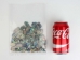 Paua Shell Pieces: Gloss Drilled: Large (1/4 lb) - 565Z-TPGDL-AS