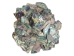 Paua Shell Pieces: Gloss Drilled: Large (1/4 lb) - 565Z-TPGDL-AS