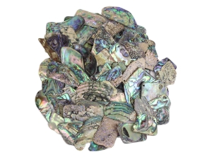 Paua Shell Pieces: Gloss Drilled: Large (1/4 lb) 