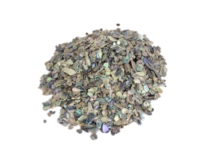 Paua Shell Pieces: Natural: Extra-Fine (1/4 lb) 