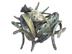 Paua Shell Rims: Satin: Large (1/4 lb) 