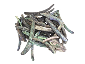 Paua Shell Rims: Satin: Medium (1/4 lb) 