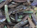 Paua Shell Rims: Satin: Small (1/4 lb) - 565Z-TPSRS-AS (Y3L)