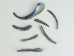 Paua Shell Rims: Satin: Unsorted (1/4 lb) - 565Z-TPSRU-AS (Y3L)