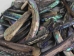 Paua Shell Rims: Satin: Unsorted (1/4 lb) - 565Z-TPSRU-AS (Y3L)