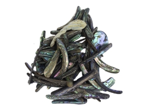 Paua Shell Rims: Satin: Unsorted (1/4 lb) 