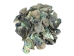 Paua Shell Pieces: Satin: Small (1/4 lb) - 565Z-TPSS-AS