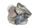 Paua Shell Pieces: Satin: Extra Large (1/4 lb) - 565Z-TPSXL-AS (Y3LRH)
