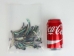 Paua Shell Wings/Fans: Satin: Unsorted (1/4 lb) - 565Z-TPWSU-AS