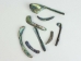 Paua Shell Wings/Fans: Satin: Unsorted (1/4 lb) - 565Z-TPWSU-AS