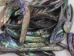 Paua Shell Wings/Fans: Satin: Unsorted (1/4 lb) - 565Z-TPWSU-AS